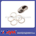 Amazing parylene coating neodymium magnet with high power